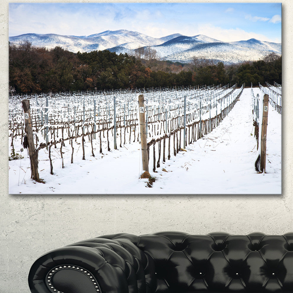 Snow Covered Vineyard Rows Italy, Extra Large Landscape Canvas Art, 40"x30"