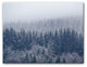 Frozen Trees' Canvas Wall Decor