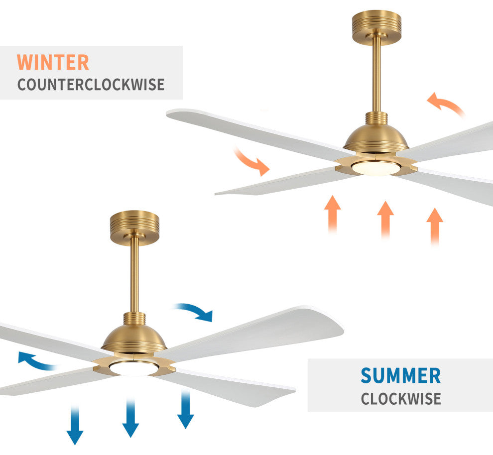 56" 4-Blade Solid Wood Ceiling Fan With LED Light and Remote Control, Gold/White
