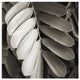 "Tropical Plant I" Digital Paper Print by Debra Van Swearingen, 42"x42"