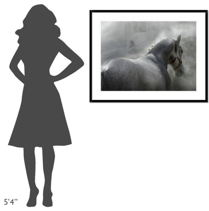 "Gramy" Framed Digital Print by Milan Malovrh, 40x32"