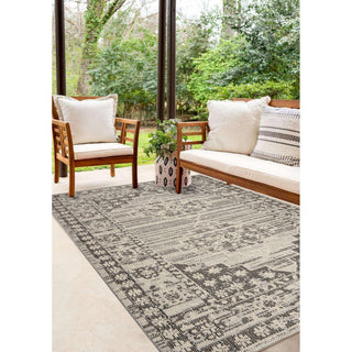Canyon Heriz Area Rug - Gray, 2'x3'
