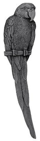 McCaw Pull Antique Brass Left Side, Brilliant Pewter, Left