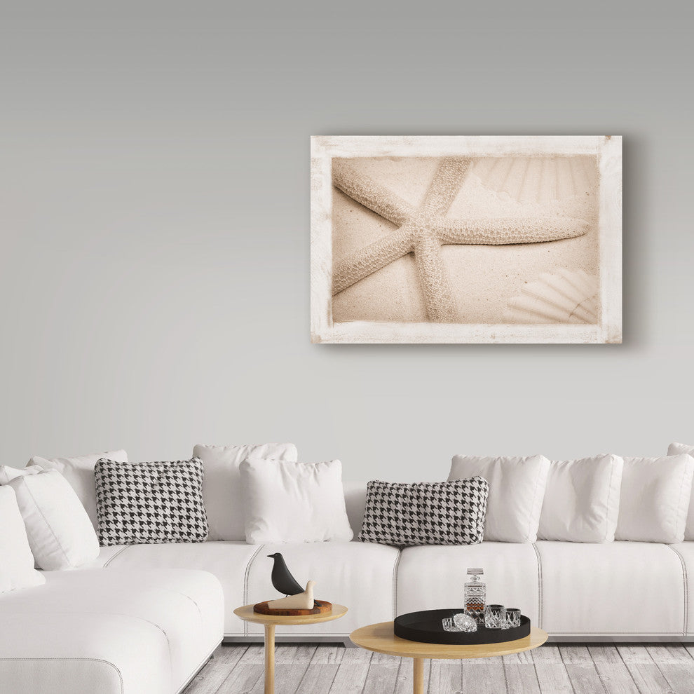 "Starfish, Shells And Sand" by Cora Niele, Canvas Art, 12"x19"