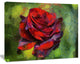 Red Rose Illustration on Green, Floral Canvas Art Print, 20"x12"