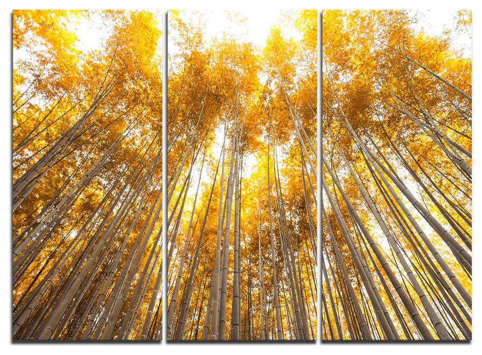 "Autumn Bamboo Grove in Yellow" Wall Art, 3 Panels, 36"x28"