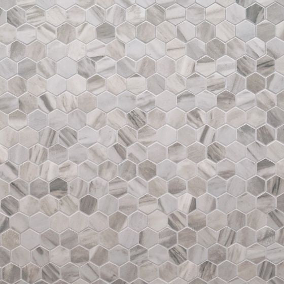 Eden Bardiglio 2X2 Hexagon Matte Porcelain Tile, (4x4 or 6x6) Max Order One Sample