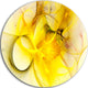 Light Yellow Nebula Star, Abstract Digital Art Disc Metal Wall Art, 11"