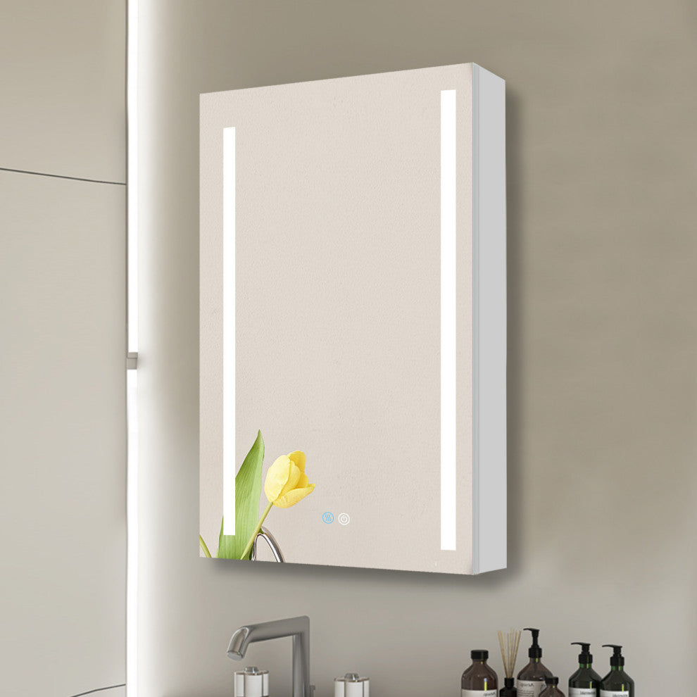 20 in. W x 30 in. H Aluminum Surface Mount Medicine Cabinet with Lighted Mirror