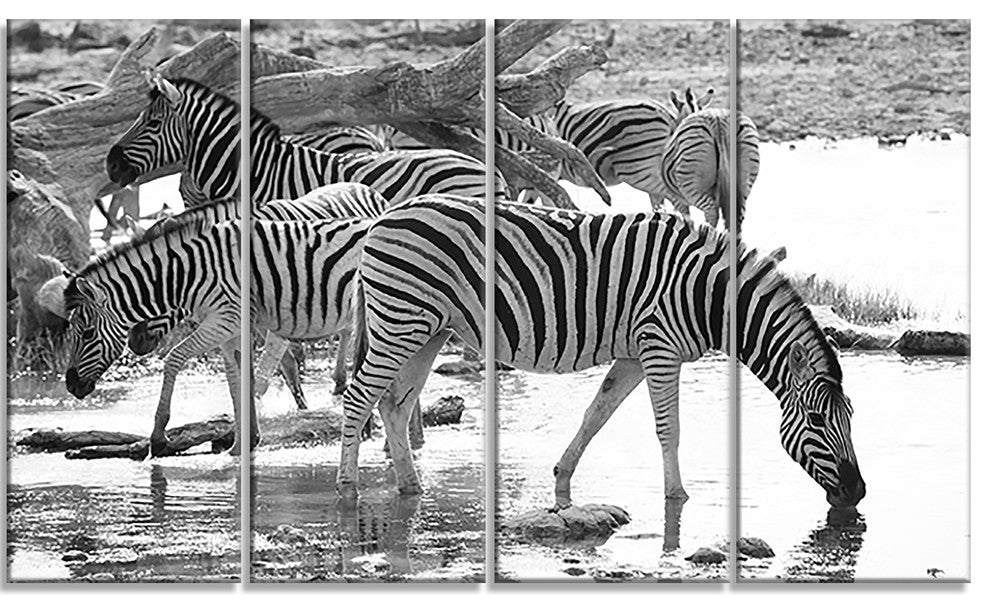 Herd of Zebra Black and White, African Canvas Art Print, 48"x28", 4 Panels