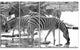 Herd of Zebra Black and White, African Canvas Art Print, 48"x28", 4 Panels