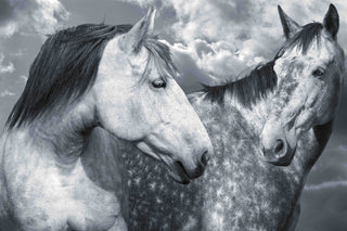 "Are We Buds" Print on Canvas by Maggie Dee