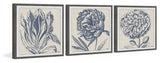Flower Sketches Triptych, Set of 3, 24x24 Panels