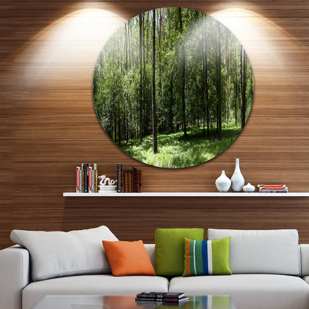 Wild Green Forest Panorama, Forest Round Metal Wall Art, 11"