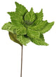Vickerman Qg162713 22" Lime Poinsettia Artificial Christmas Flower