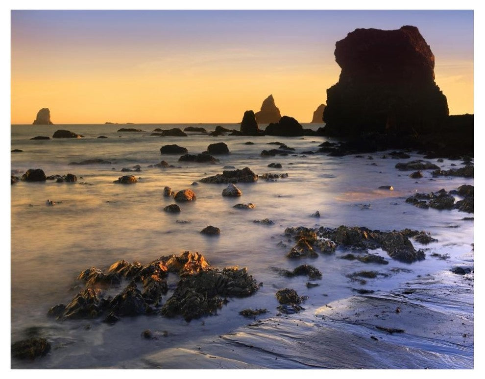 "Lone Beach at sunset, Oregon" Digital Paper Print by Tim Fitzharris, 50"x38"