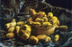 Earthen Bowls- Paper Poster 20" x 30"