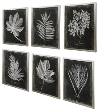 Uttermost Foliage Framed Prints, Set of 6