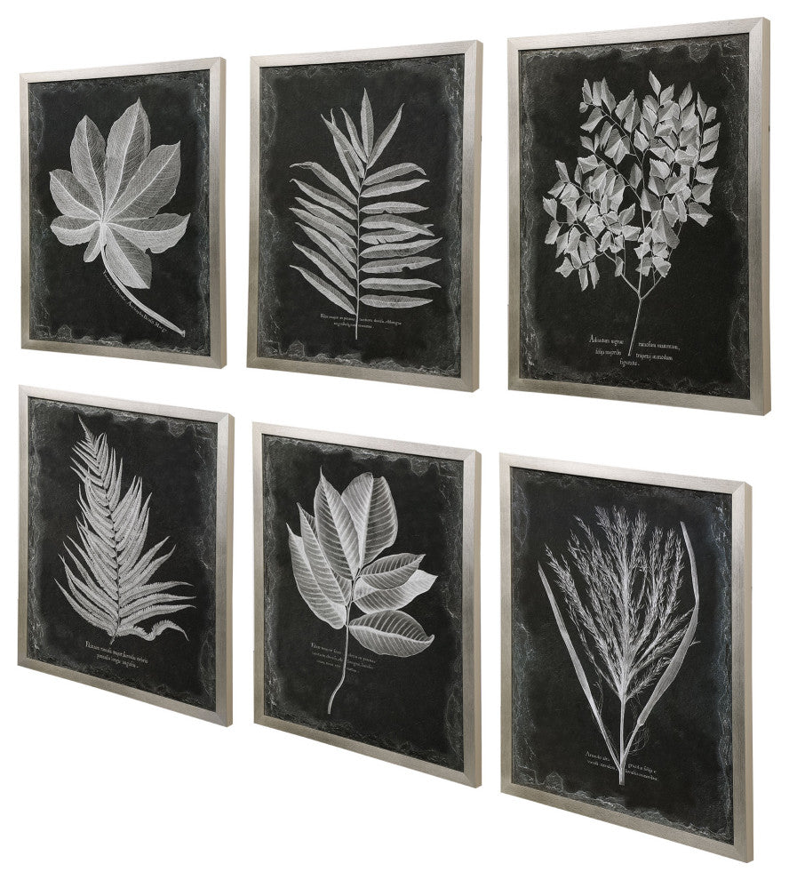 Uttermost Foliage Framed Prints, Set of 6