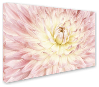 Cora Niele 'Dahlia Flower' Canvas Art