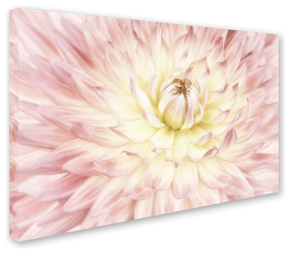 Cora Niele 'Dahlia Flower' Canvas Art