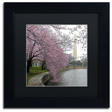 CATeyes 'Washington Blossoms' Matted Framed Art, 11x11