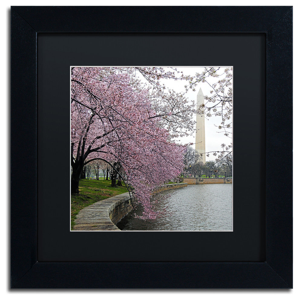 CATeyes 'Washington Blossoms' Matted Framed Art, 11x11
