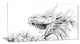 "Dragon Tattoo Sketch" Digital Art Canvas Print
