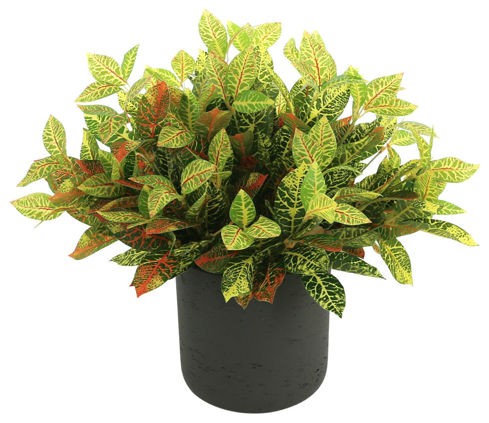 Creative Displays Outdoor Croton Bush Arrangement in a Fiberstone Pot