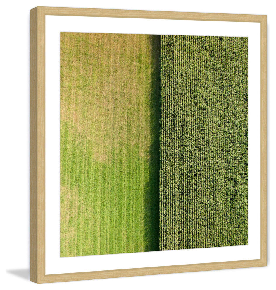 "Green Rows" Framed Print by Karolis Janulis