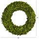 24" Preserved Boxwood Wreath