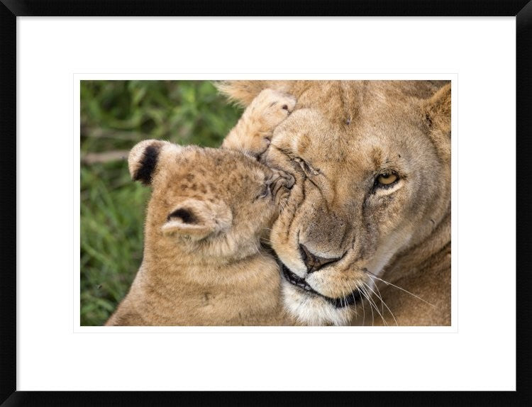 "Mother Love" Framed Digital Print by Alessandro Catta, 26"x20"