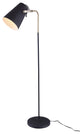 Sawyer Brown Steel Floor Lamp