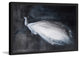 Marmont Hill, "White Peacock" by Christine Lindstrom Framed Painting, 30x20