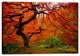 Epic Graffiti "Tree Fire" by Darren White, Giclee Canvas Wall Art, 40"x60"