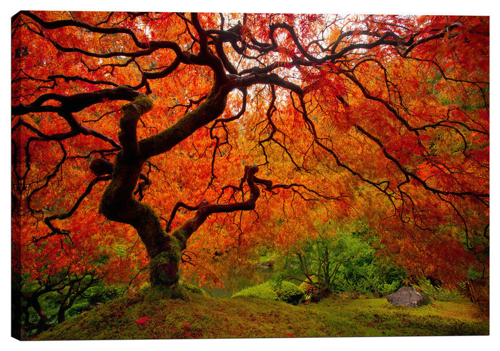 Epic Graffiti "Tree Fire" by Darren White, Giclee Canvas Wall Art, 40"x60"