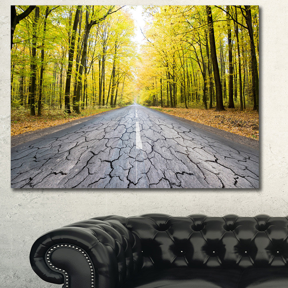 Cracked Road in the Forest, Large landscape Canvas Art Print, 60x40