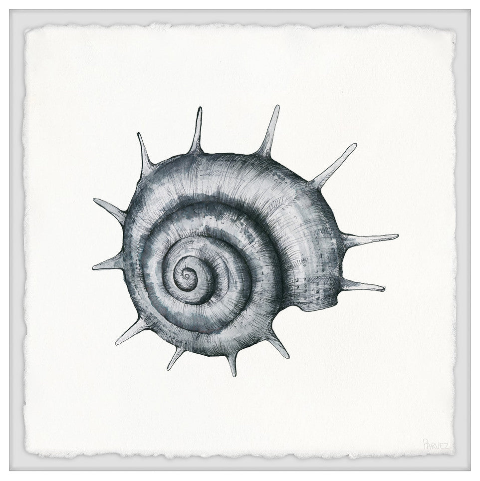 "Spiky Seashell" Framed Painting Print, 12"x12"