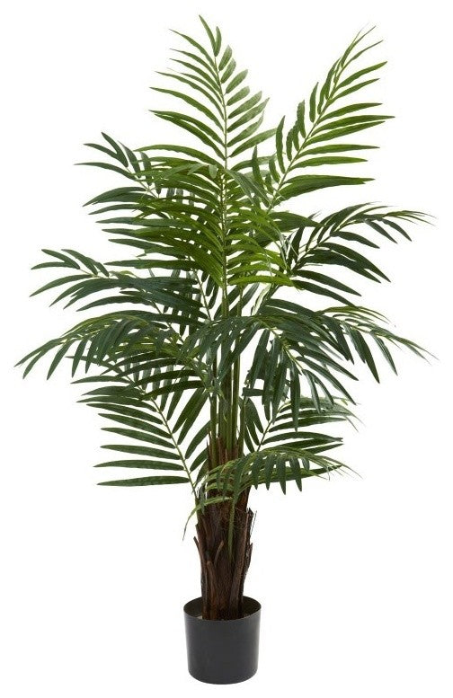 4' Areca Palm Tree