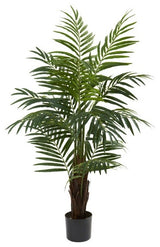 4' Areca Palm Tree