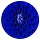 Abstract Blue Flower Design, Floral Large Disc Metal Wall Art, 11"