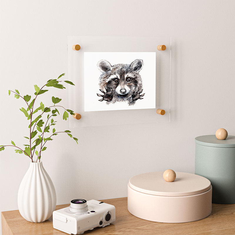 Anna Shell Magic Raccoon Floating Acrylic Print