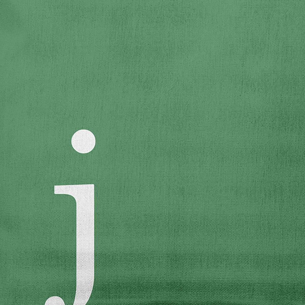 18" x 18" Modern Monogram Indoor/Outdoor Polyester Throw Pillow, Sage