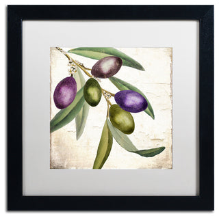 Color Bakery 'Olive Branch I' Matted Framed Art, Black Frame, White Mat, 16x16
