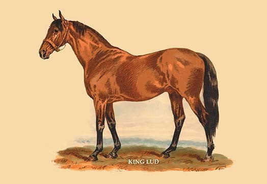 King Lud - Framed Paper Poster 20" x 30"