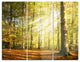 "Sun Rays Hitting Forest" Photo Metal Wall Art, 3 Panels, 36"x28"