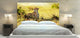 "Cheetah" Headboard