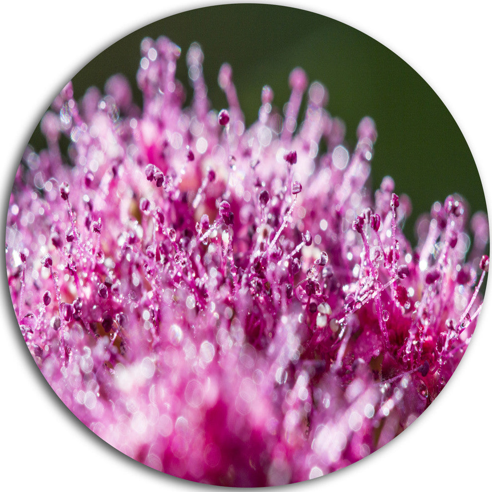 Pink Little Flowers Close-Up View, Floral Disc Metal Artwork, 11"