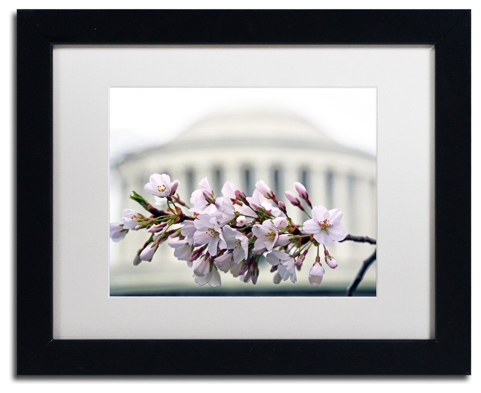 CATeyes 'Jefferson Memorial Blossoms' Matted Framed Art, 11x14