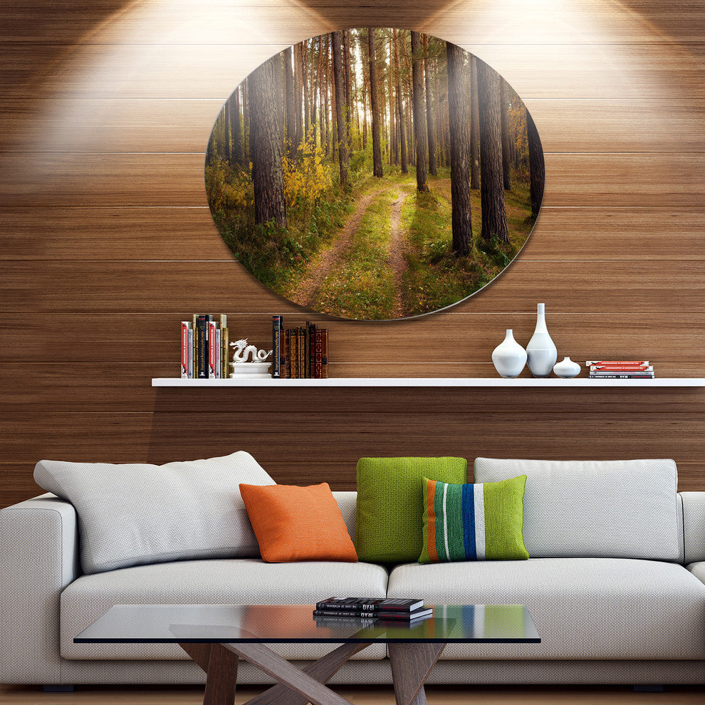 Road Through Thick Fall Forest, Modern Forest Disc Metal Wall Art, 23"